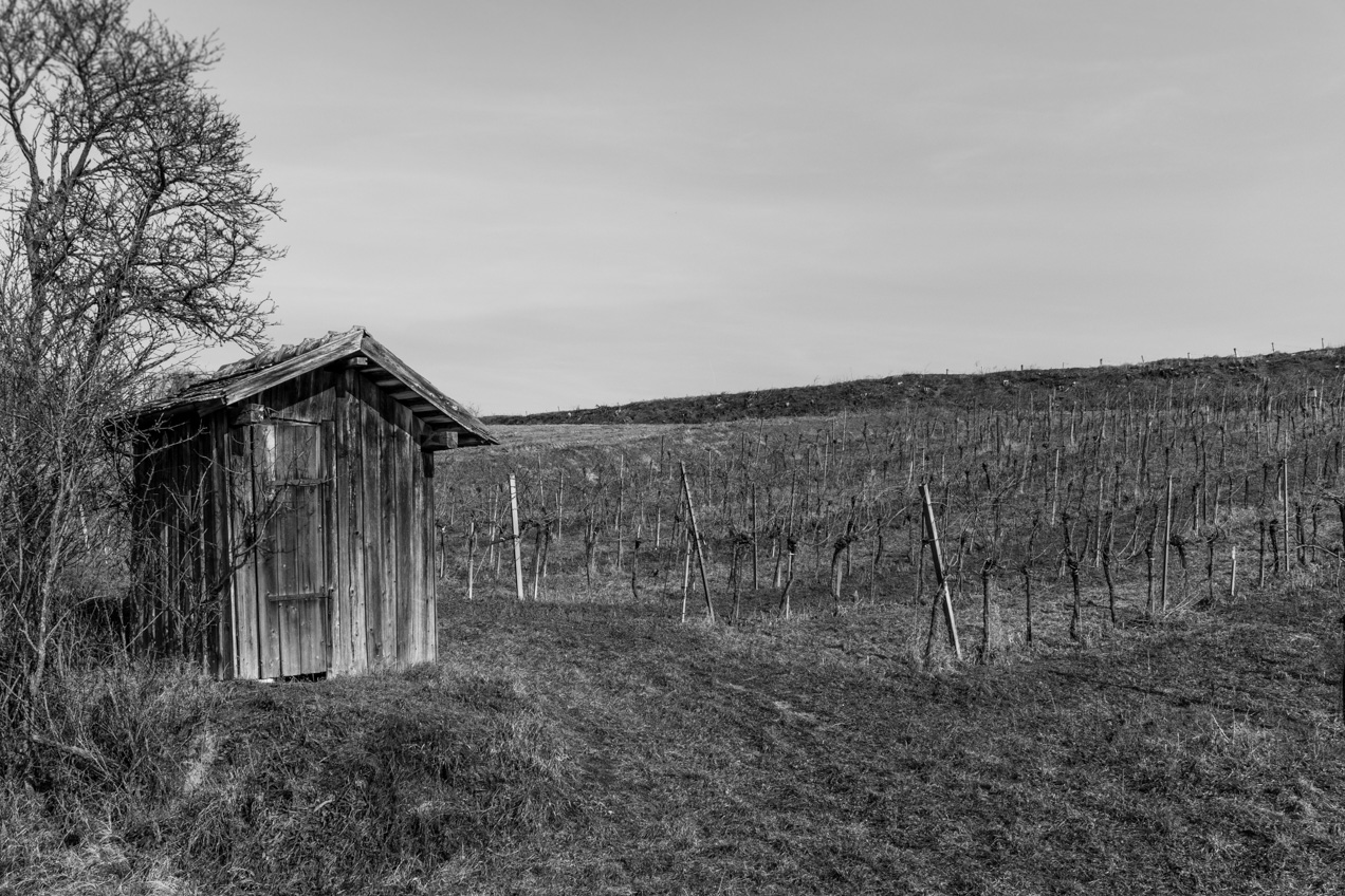 Weingartenhütte s-w (1 von 1).jpg